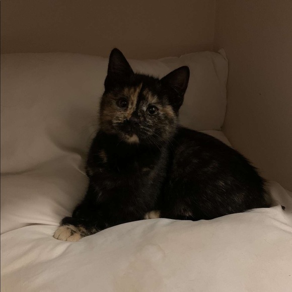 P L E A S E R E A D - Picture 4 of 10